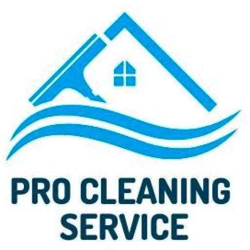 pro cleaning service logotipo